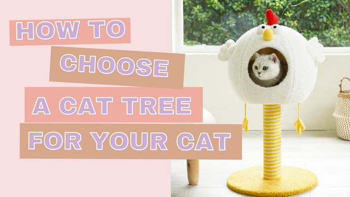 Cat Tree 101: How To Choose The Right Cat Tree For Your Cat(s)