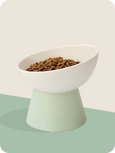Load image into Gallery viewer, Candy Color Cat Bowl