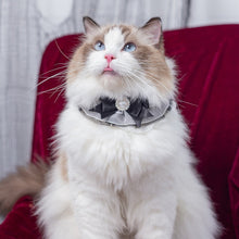 Load image into Gallery viewer, Black Bow Cat Bib