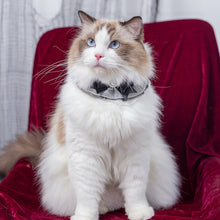 Load image into Gallery viewer, Black Bow Cat Bib