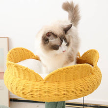 Load image into Gallery viewer, Yellow Tulip Cat Tree
