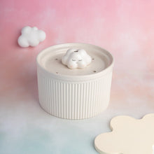 Load image into Gallery viewer, automatic cat water fountain