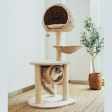Load image into Gallery viewer, Cat relaxing in the hammock of the Bird Nest Cat Tree