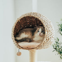 Load image into Gallery viewer, Detail of a cat sleeping in the top nest of the Bird Nest Cat Tree