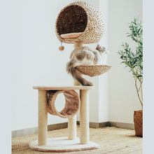 Load image into Gallery viewer, Right side of the Bird Nest Cat Tree with a cat looking into the distance from the platform