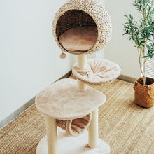 Load image into Gallery viewer, Top view of the Bird Nest Cat Tree