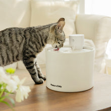 Load image into Gallery viewer, cat water fountain fresh flow