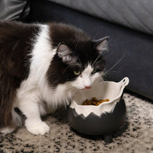 Load image into Gallery viewer, cat food bowl