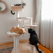 Load image into Gallery viewer, Transformable Cat Tree
