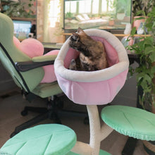 Load image into Gallery viewer, A cat on the Monster World Cat Tree in a green-themed gaming room