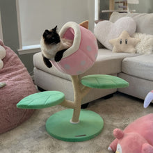 Load image into Gallery viewer, A cat on the Monster World Cat Tree in the living room
