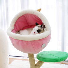 Load image into Gallery viewer, Ragdoll cat sleeping in the piranha flower condo of the Monster World Cat Tree