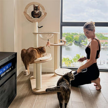 Load image into Gallery viewer, A woman playing with her three cats beside the Transformable Cat Tree