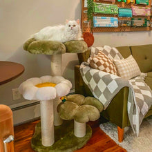 Load image into Gallery viewer, white longhaired cat lying on top platform of Four Leaf Clover Cat Tree next to sofa