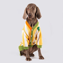 Load image into Gallery viewer, Hip hop Style Pet Knitting Cardigan - San Frenchie