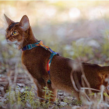Load image into Gallery viewer, Colorful Pet Harness - San Frenchie