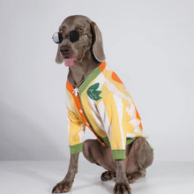 Load image into Gallery viewer, Hip hop Style Pet Knitting Cardigan - San Frenchie