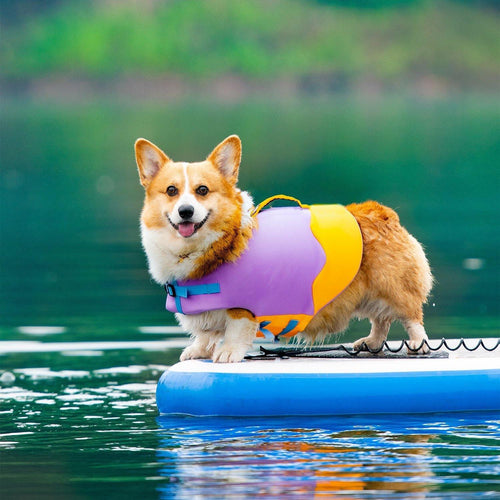 Heroic Captain Dog Swimming Safety Life Jacket - San Frenchie