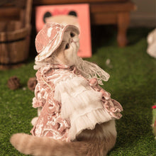 Load image into Gallery viewer, Golden Velvet Gorgeous Cat Dress Set - San Frenchie