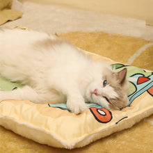 Load image into Gallery viewer, Happy Friends Pet Sleeping Mat - San Frenchie