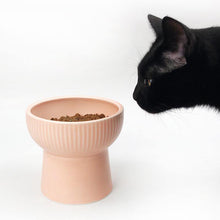 Load image into Gallery viewer, Elevated Anti-Slip Ceramic Cat Bowl - San Frenchie