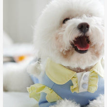 Load image into Gallery viewer, Cream Color Lace Pet Shirt - San Frenchie