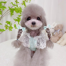 Load image into Gallery viewer, Everyone Loves Korean Style Lace Pet Dress - San Frenchie