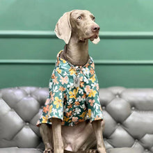 Load image into Gallery viewer, Hawaii Styled Flower Dog Shirt - San Frenchie