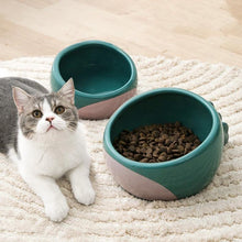 Load image into Gallery viewer, Dinosaur Tail Ceramic Dog Bowl - San Frenchie