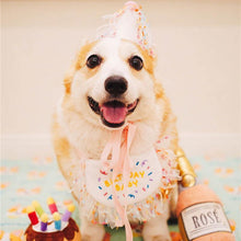 Load image into Gallery viewer, Happy Birthday Hat and Collar Set - San Frenchie