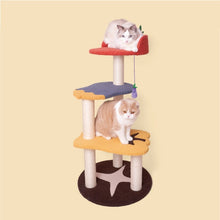 Load image into Gallery viewer, Vegetable Design Cat Climbing Frame