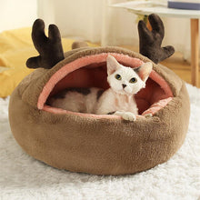 Load image into Gallery viewer, Dinosaur Series Cat Bed - San Frenchie