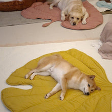 Load image into Gallery viewer, Nature Inspired Leaf Pet Mat - San Frenchie