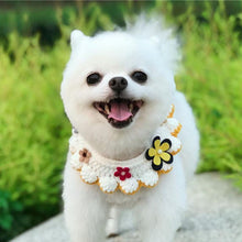 Load image into Gallery viewer, Hand-Knitted Flower Pet Collar - San Frenchie
