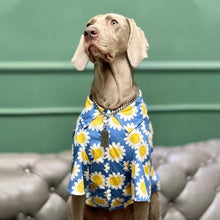 Load image into Gallery viewer, Hawaii Styled Sunflower Dog Shirt - San Frenchie
