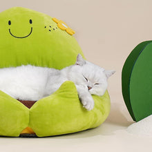Load image into Gallery viewer, Cactus Hug Huge Cat House - San Frenchie