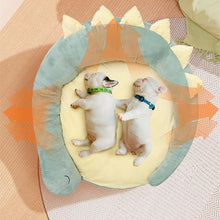 Load image into Gallery viewer, Dinosaur & Whale Styled Pet Bed - San Frenchie