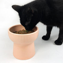 Load image into Gallery viewer, Elevated Anti-Slip Ceramic Cat Bowl - San Frenchie