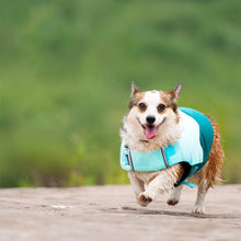 Load image into Gallery viewer, Heroic Captain Dog Swimming Safety Life Jacket - San Frenchie