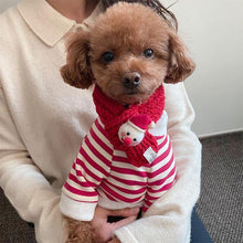Load image into Gallery viewer, Holiday Red Stripes with Scarf for Pets - San Frenchie