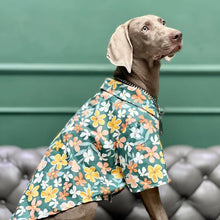 Load image into Gallery viewer, Hawaii Styled Flower Dog Shirt - San Frenchie