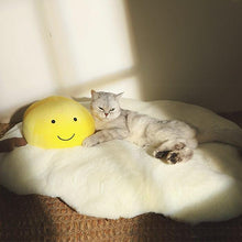 Load image into Gallery viewer, Fried Egg Shaped Pet Mat Bed - San Frenchie