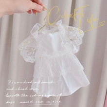 Load image into Gallery viewer, Everyone Loves Korean Style Lace Pet Dress - San Frenchie