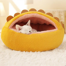 Load image into Gallery viewer, Dinosaur Series Cat Bed - San Frenchie