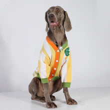 Load image into Gallery viewer, Hip hop Style Pet Knitting Cardigan - San Frenchie