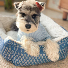 Load image into Gallery viewer, Blue Anchor Pet Bed - San Frenchie