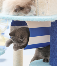 Load image into Gallery viewer, Aegean Sea Fairyland Cat Climbing Tree