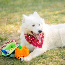 Load image into Gallery viewer, Devil Basket Pet Toy Set with Sound Generator - San Frenchie