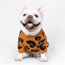 Load image into Gallery viewer, Hip-hop Leopard Print Pet Sweater - San Frenchie