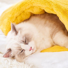 Load image into Gallery viewer, Fried Egg Closed Cat Bed - San Frenchie